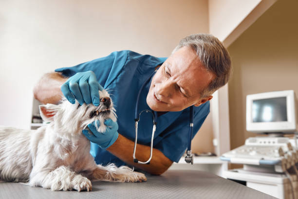 , DE Emergency Dental Service Company